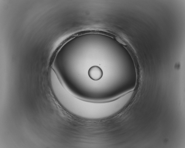 X0000113061320200909110905
