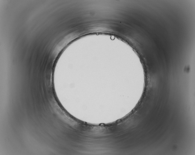 X0000113061322200909110905