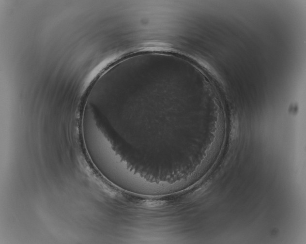 X0000113061325200909110905