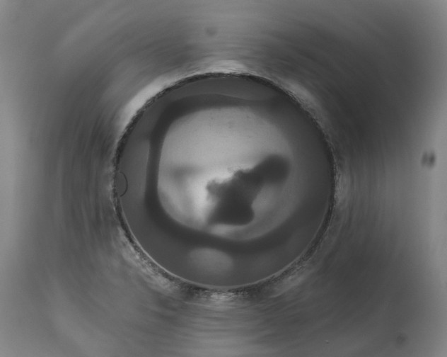 X0000113061326200909110905