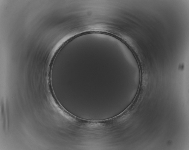 X0000113061331200909110905