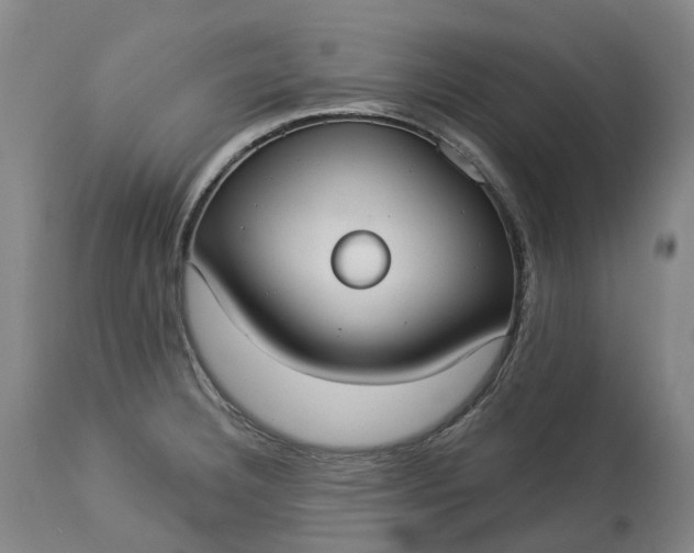 X0000113061332200909110905
