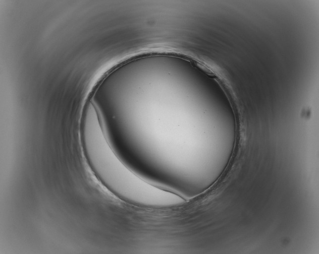 X0000113061334200909110905