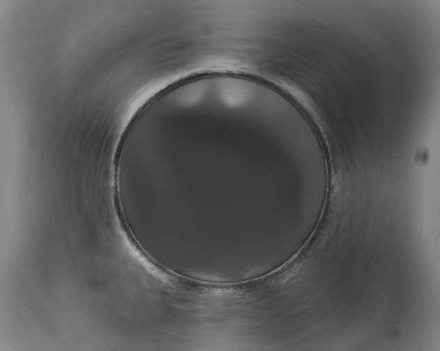 X0000113061335200909110905