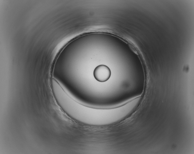 X0000113061336200909110905