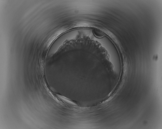 X0000113061337200909110905