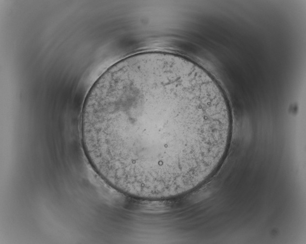 X0000113061338200909110905