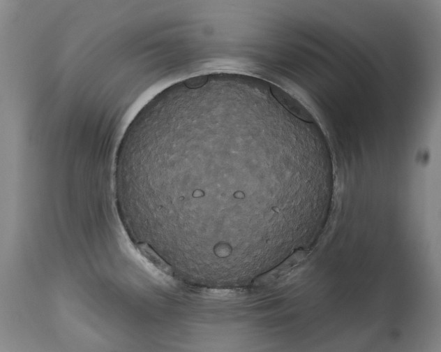 X0000113061339200909110905