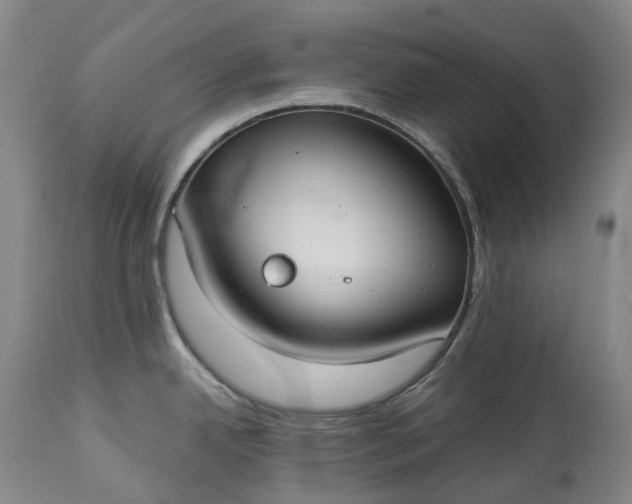 X0000113061342200909110905