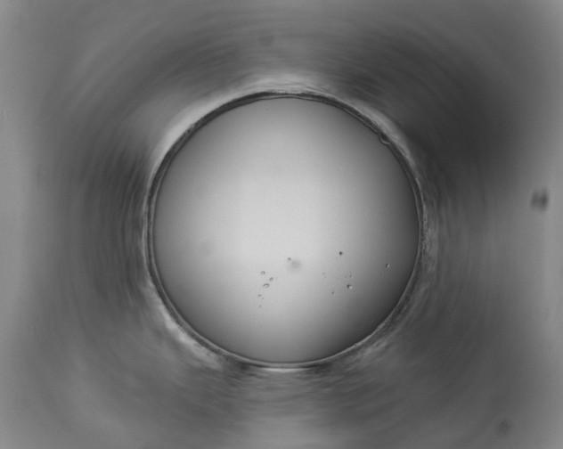 X0000113061343200909110905