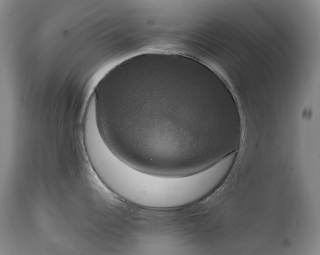 X0000113061344200909110905