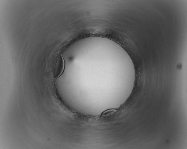 X0000113061345200909110904