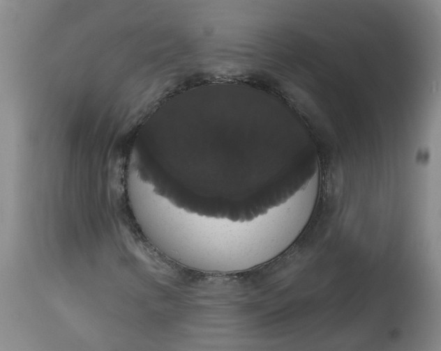X0000113061346200909110904