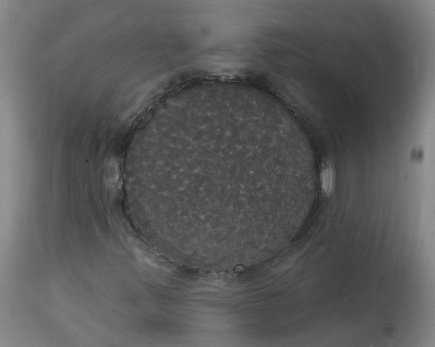 X0000113061347200909110904