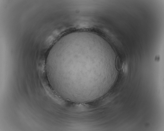 X0000113061348200909110904