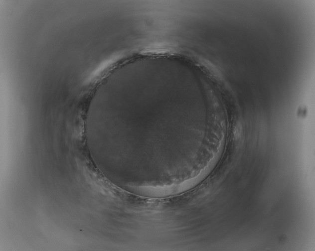 X0000113061350200909110904