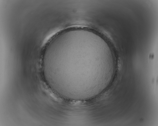 X0000113061352200909110904