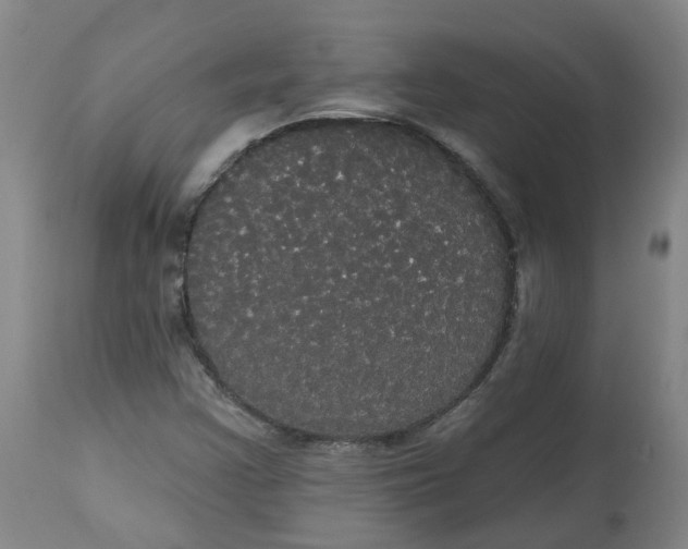 X0000113061355200909110904