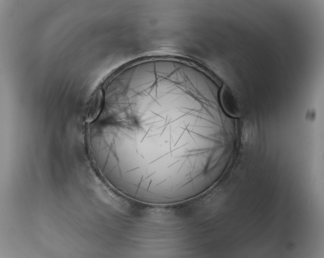 X0000113061356200909110904