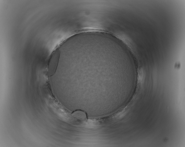 X0000113061357200909110904