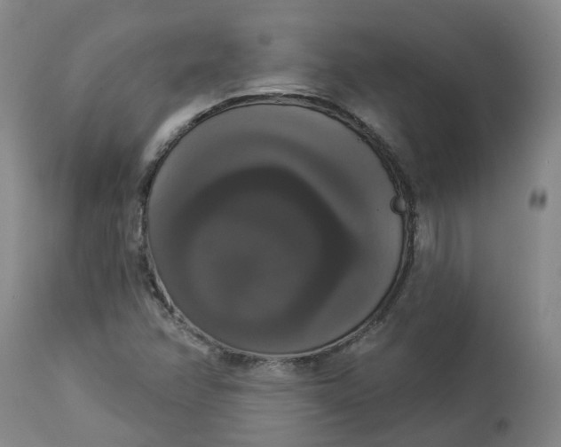 X0000113061358200909110904
