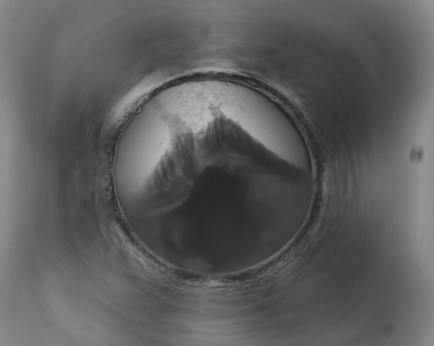 X0000113061359200909110904