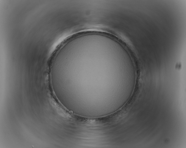 X0000113061360200909110904