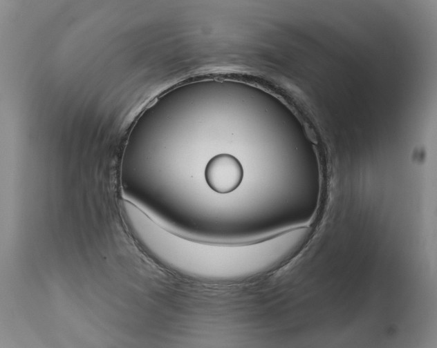 X0000113061361200909110904