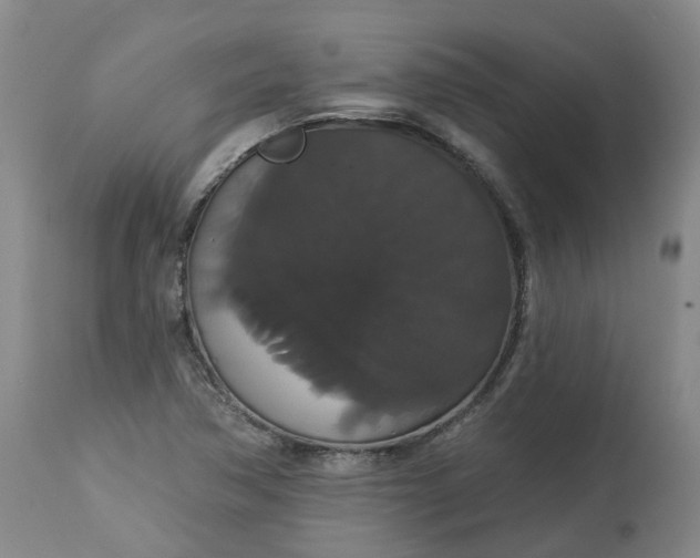 X0000113061362200909110904
