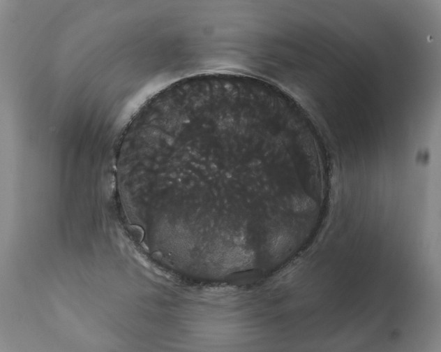 X0000113061363200909110904