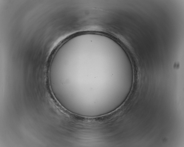 X0000113061364200909110904