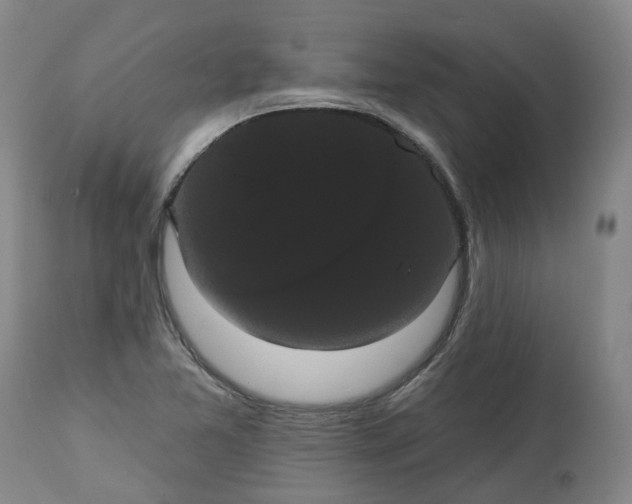 X0000113061365200909110904