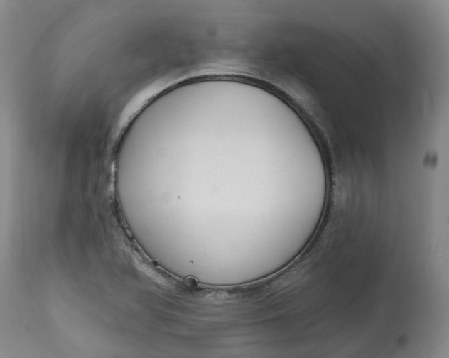 X0000113061366200909110904