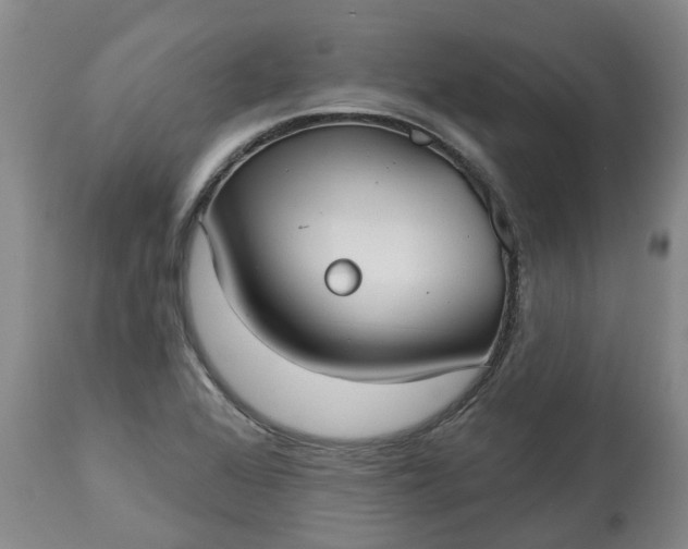 X0000113061368200909110904