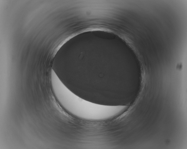 X0000113061369200909110904