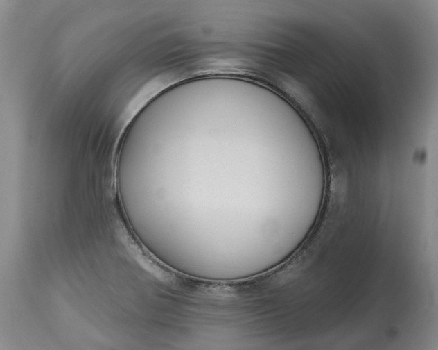 X0000113061370200909110904