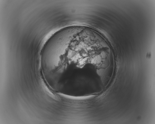 X0000113061371200909110904