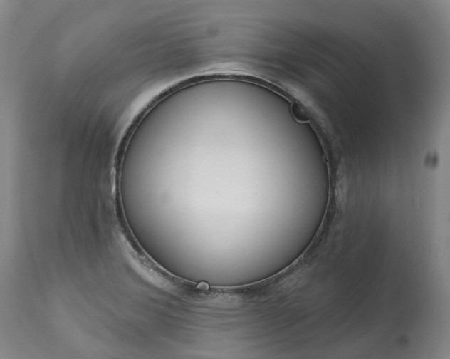 X0000113061372200909110904