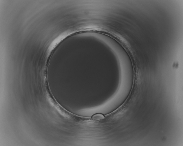 X0000113061373200909110904