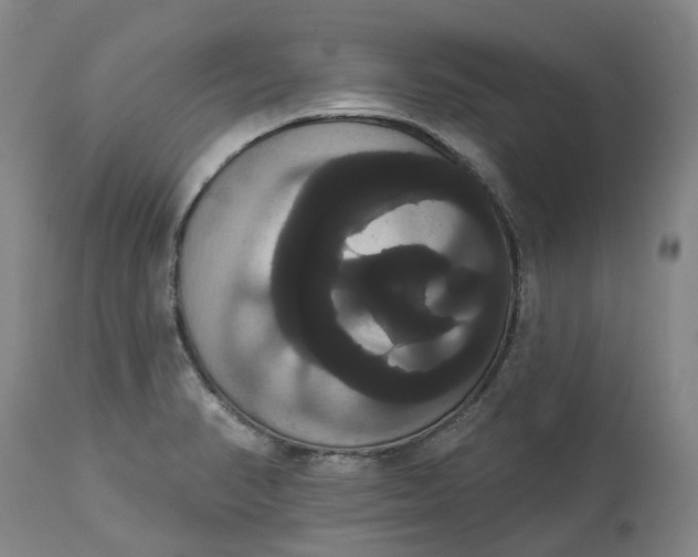 X0000113061374200909110904