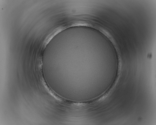 X0000113061377200909110904