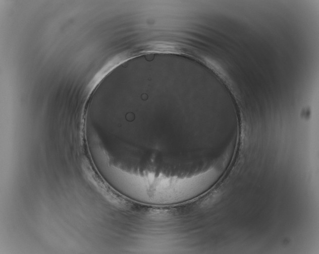 X0000113061378200909110904