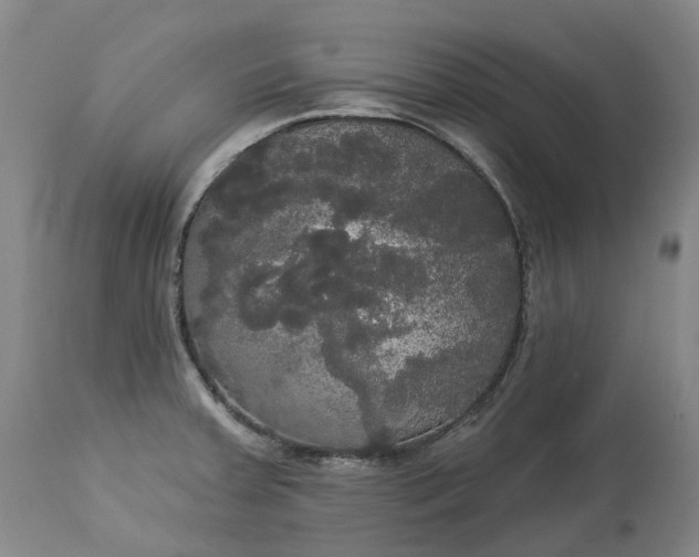 X0000113061379200909110904
