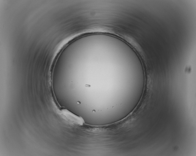 X0000113061380200909110904