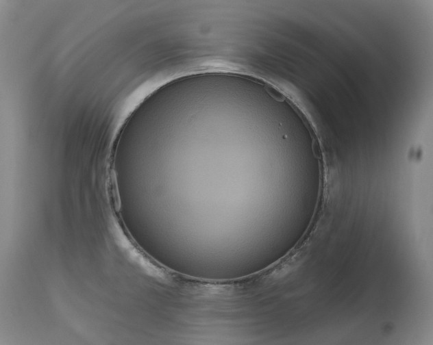 X0000113061381200909110904