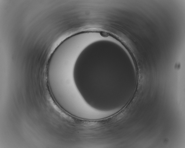 X0000113061382200909110904