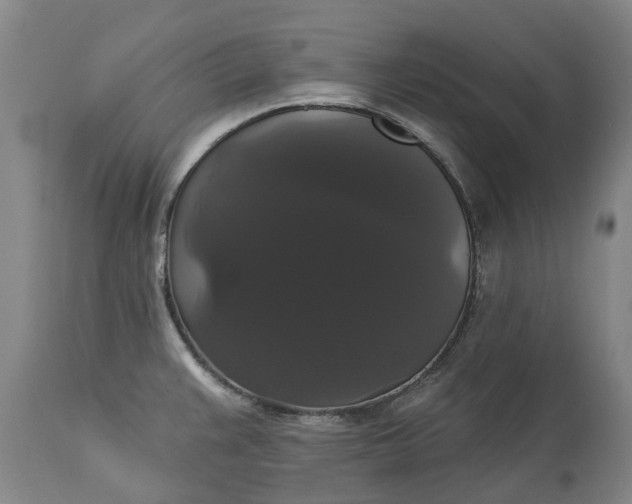 X0000113061383200909110904