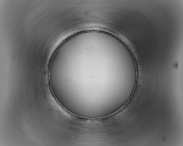 X0000113061384200909110904