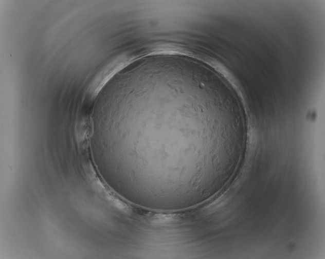 X0000113061385200909110904