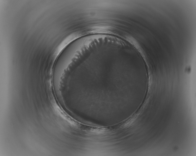 X0000113061386200909110904